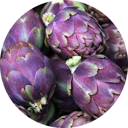 zaden artisjok violette de provence