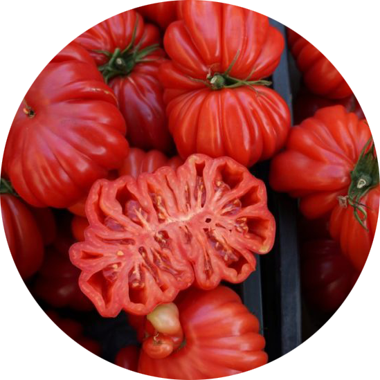 zaden tomaat beefsteak